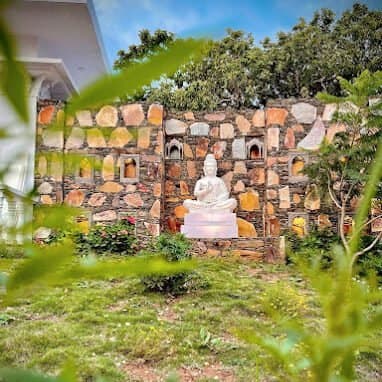 A white Buddha statue framed by leaves and a stone wall