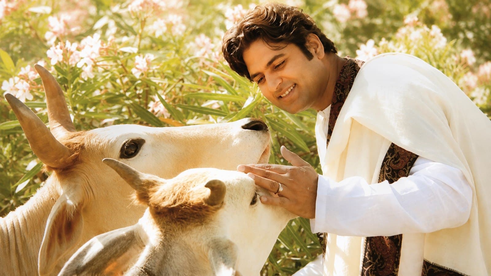 Dr. D.P. Shukla smiling as he greets two cows among flowering shrubs