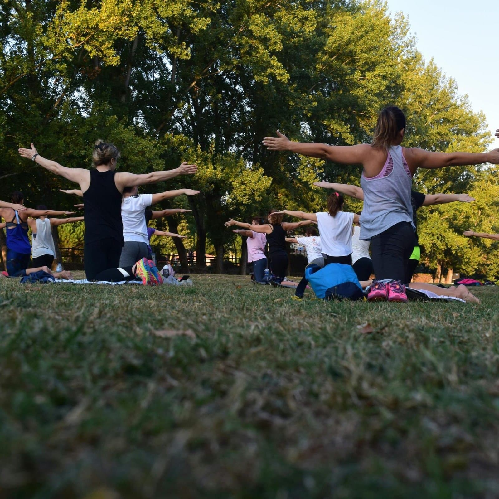 A group practising yoga with arms outstretched on a lawn among trees